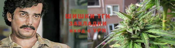 эйфоретик Белокуриха