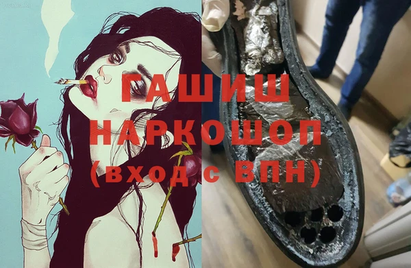 сатива Беломорск