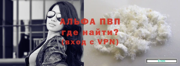 сатива Беломорск