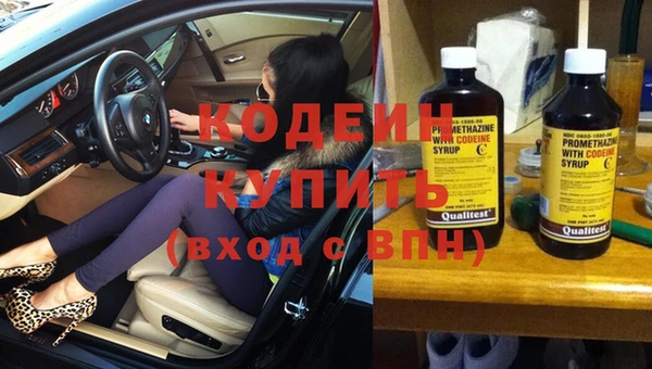 сатива Беломорск