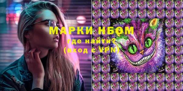 сатива Беломорск