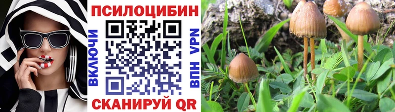 Псилоцибиновые грибы прущие грибы  ссылка на мегу ССЫЛКА  Ворсма 